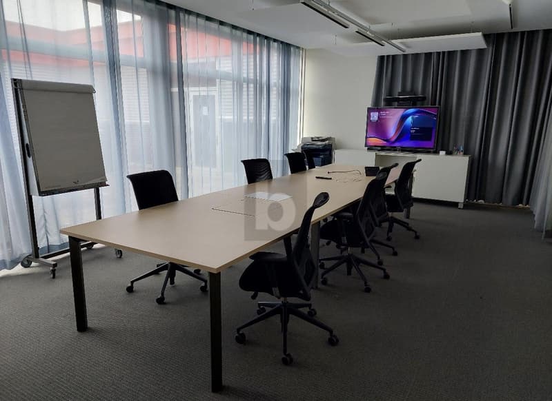 REPRESENTATIV MIT VIEL TAGESLICHT (2)
