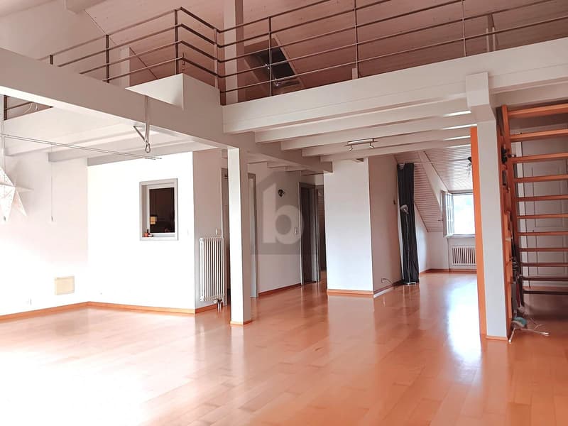 DUPLEX RARE ET UNIQUE ! (4)
