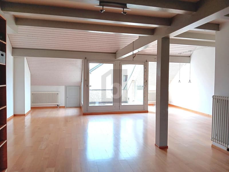 DUPLEX RARE ET UNIQUE ! (3)