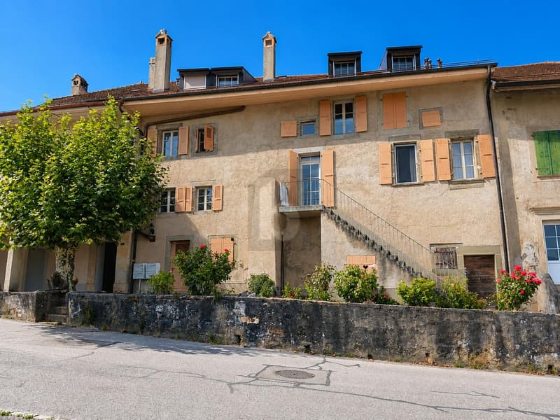 DUPLEX RARE ET UNIQUE ! (1)