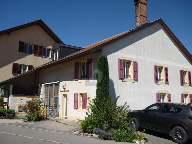 DUPLEX MEUBLÉ DE CHARME (1)