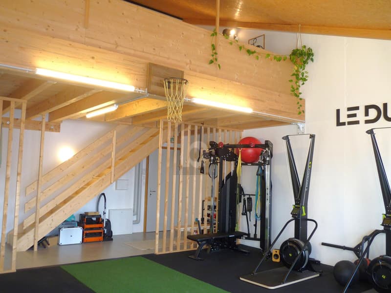 ESPACE MODERNE LUMINEUX + MEZZANINE ! (4)