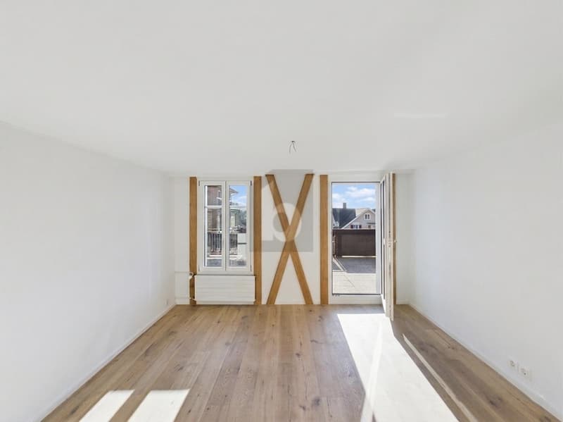 ZENTRAL MIT DACHTERRASSE UND GARTEN (2)