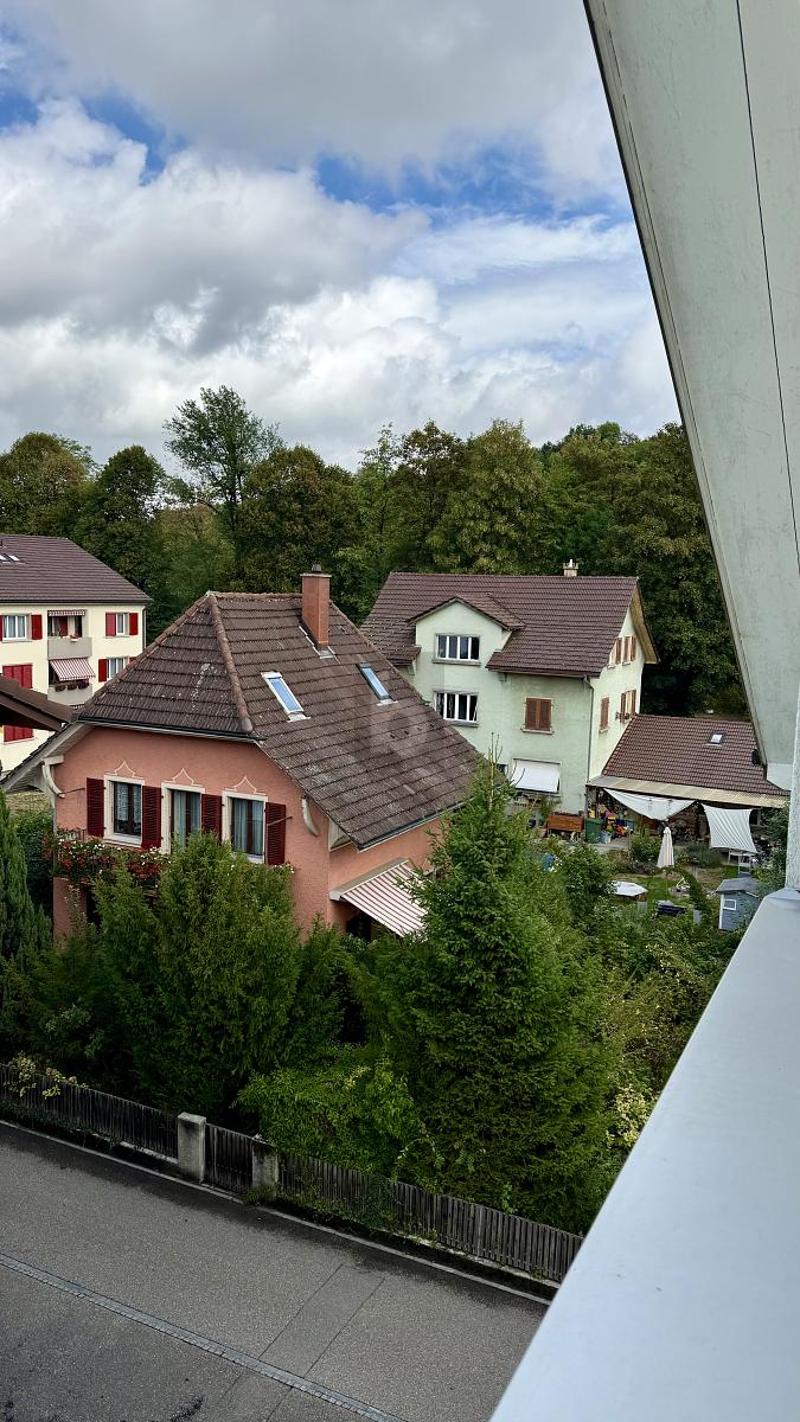 GEMÜTLICH WOHNEN ZWISCHEN EMME & STADT (4)