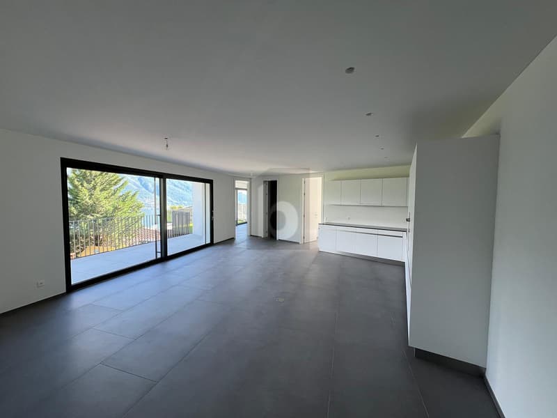 MODERNO ED ELEGANTE CON SPETTACOLARE VISTA LAGO (2)