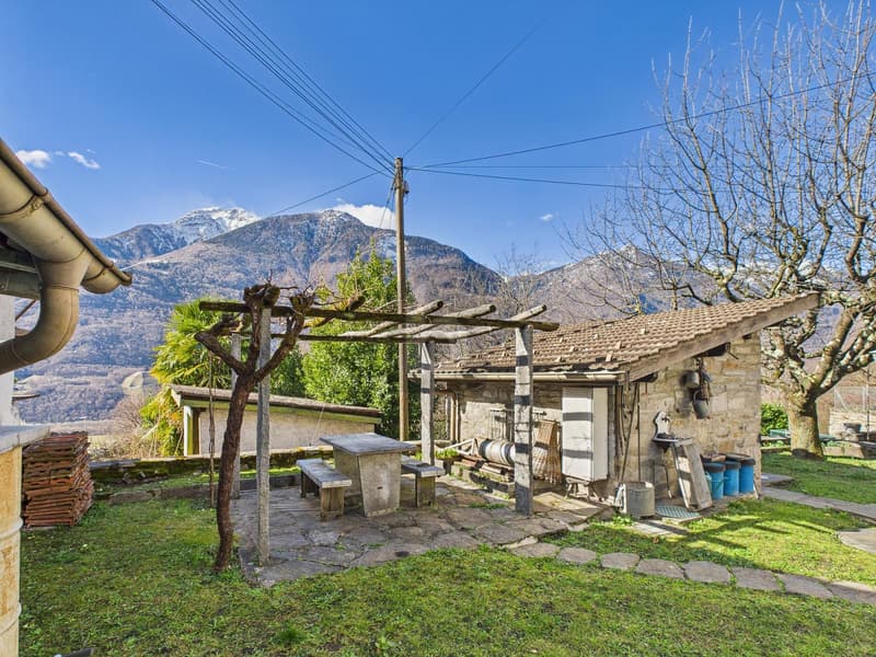 SPAZIOSA E SOLEGGIATA CON GIARDINO (3)