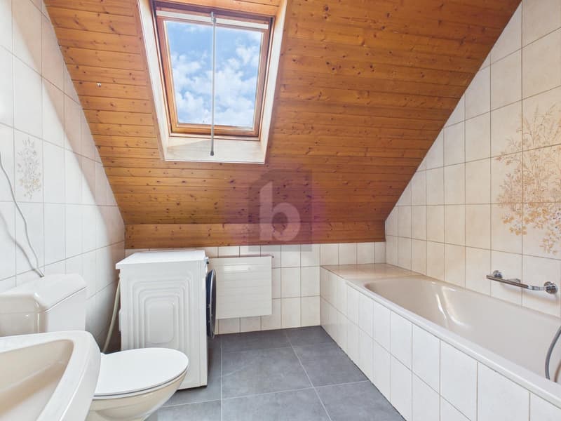 KÜRZLICH RENOVIERT MIT VIEL PLATZ AN IDYLISCHER LAGE (4)