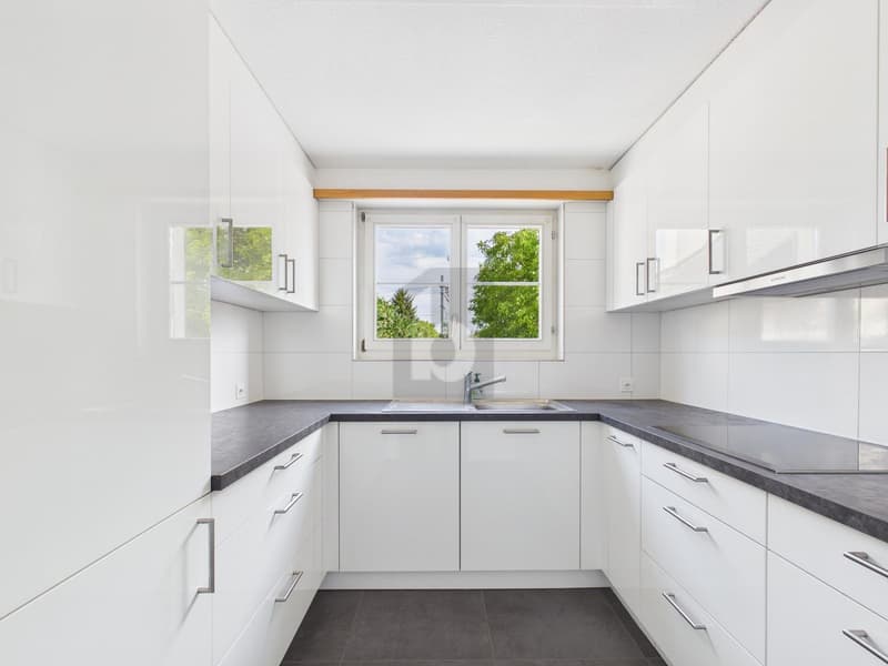 KÜRZLICH RENOVIERT MIT VIEL PLATZ AN IDYLISCHER LAGE (3)