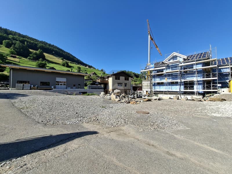 IHR TRAUM-EFH IM GRÜNEN (4)