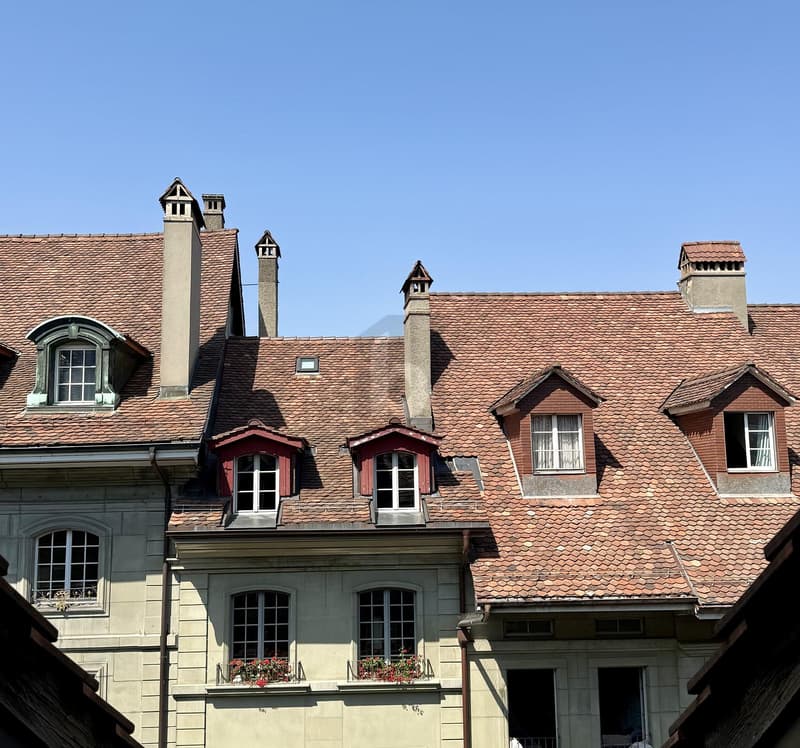 ALTSTADTFLAIR ÜBER DEN DÄCHERN VON BERN (5)