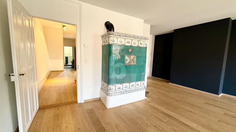 ALTSTADTFLAIR ÜBER DEN DÄCHERN VON BERN (1)