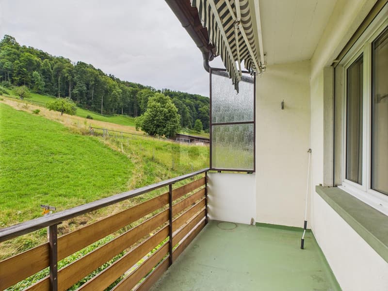 CHARMANTER ALTBAU (5)