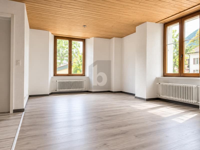 IMMEUBLE 5,4 % ET 2È IMMEUBLE CONSTRUCTIBLE (2)
