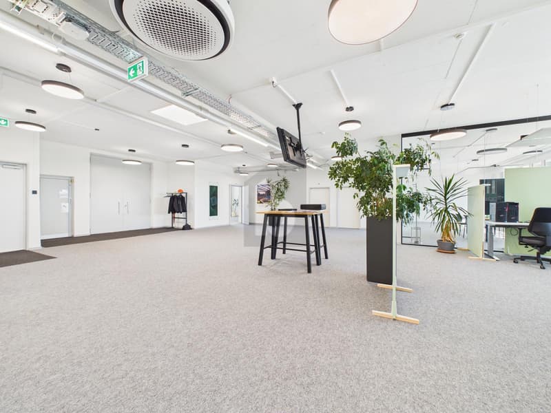 TOP MODERN MIT FLEXIBLER TEIL- / GESAMTNUTZUNG (2)
