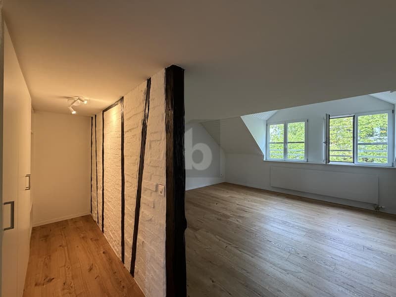 MODERN UND ZENTRAL, MIT WEITBLICK (2)
