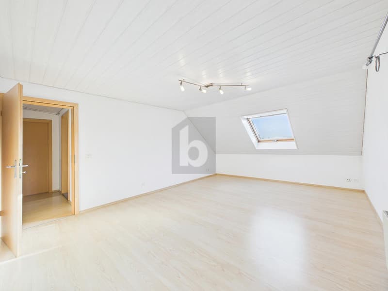 CHARMANT MIT HEIMELIGEM AMBIENTE UND VIEL PLATZ (2)