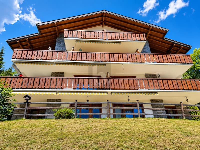 DEUX APPARTEMENTS EN UN LOT (1)