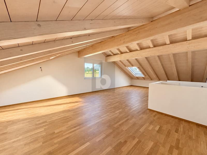 GERÄUMIGER WOHNRAUM UND GROSSER GARTEN (5)
