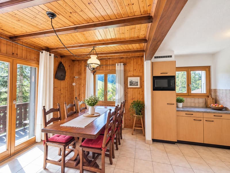 MAGNIFIQUE AVEC SAUNA (3)