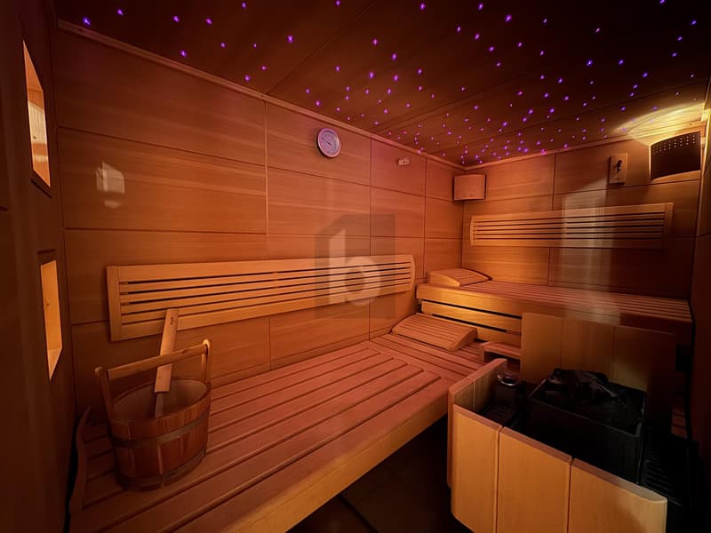 MAGNIFIQUE AVEC SAUNA (5)