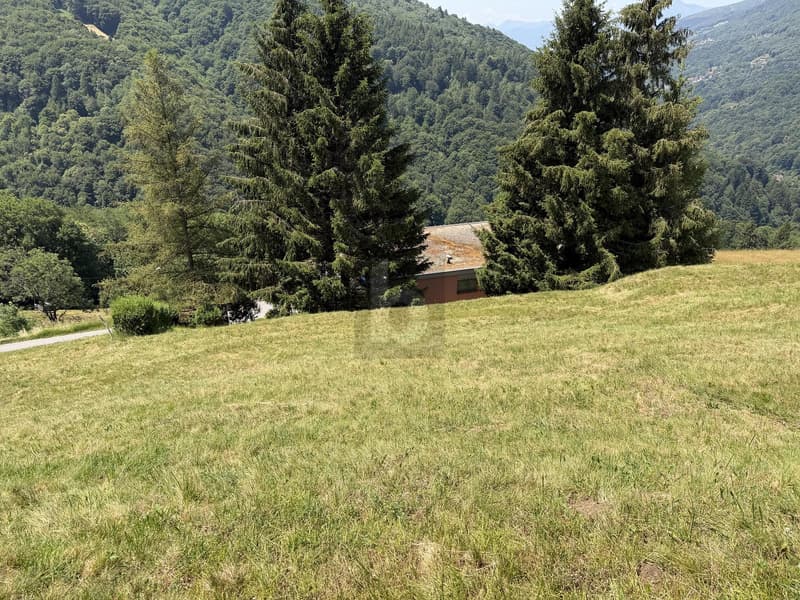 ZONA SOLEGGIATA (4)