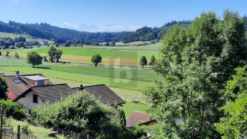 BAUPARADIES MIT PANORAMABLICK (1)