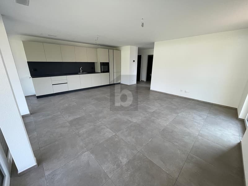 NUOVA COSTRUZIONE, ELEGANTE CON AMPIA TERRAZZA (1)