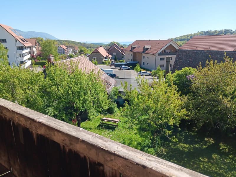 POTENTIEL POLYVALENT AU CUR DU VILLAGE (5)