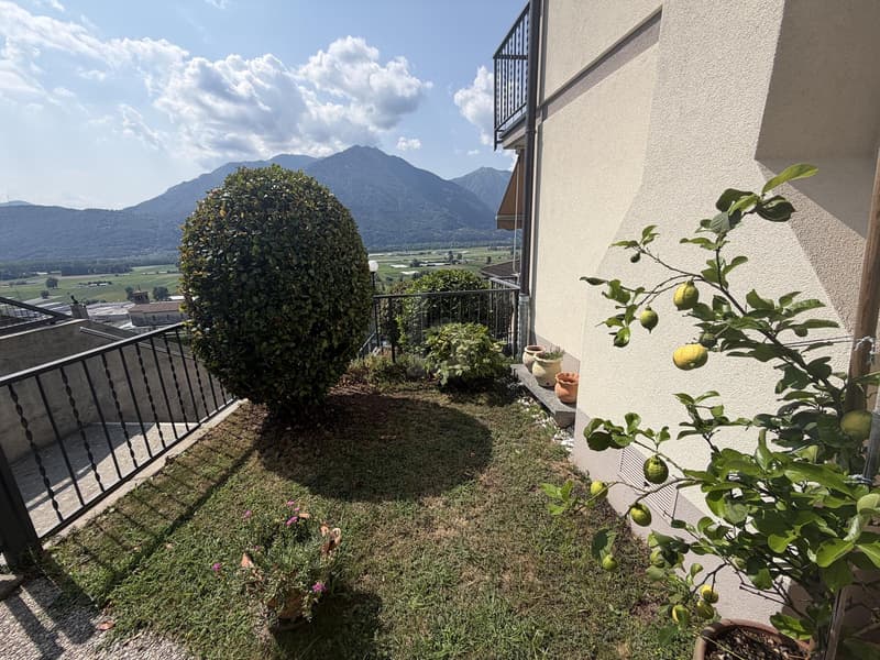CON VISTA MOZAFIATO (3)