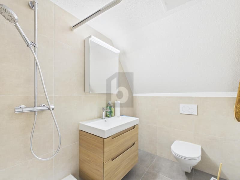 HOCHWERTIG UND KOMPLETT RENOVIERT (4)