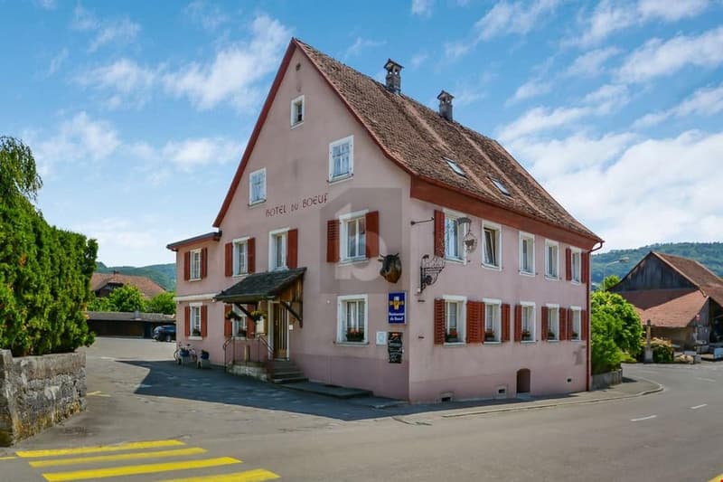 OPPORTUNITÉ RARE DANS UN VILLAGE DYNAMIQUE (1)