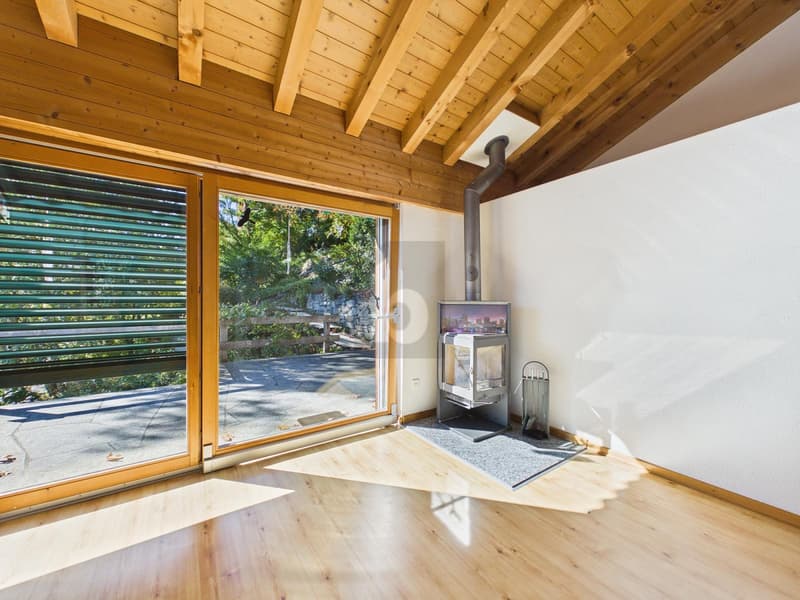 NATURPARADIS MIT WEITSICHT (4)