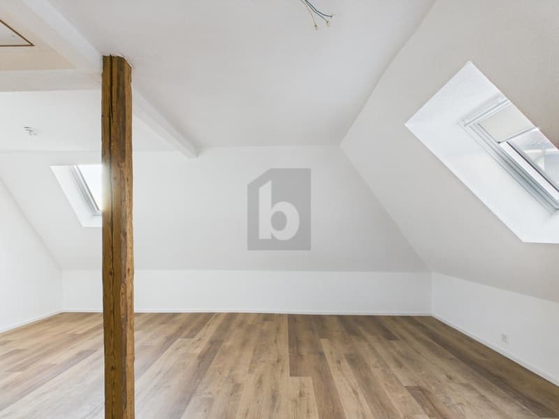 HOCHWERTIG KOMPLETT RENOVIERT (5)