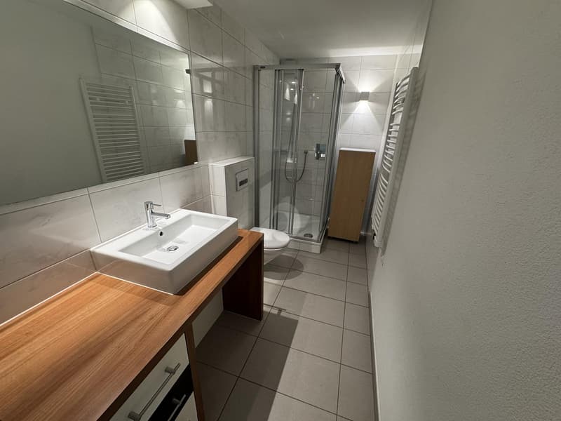 LOFT-FEELING MIT EIGENEM EINGANG (5)