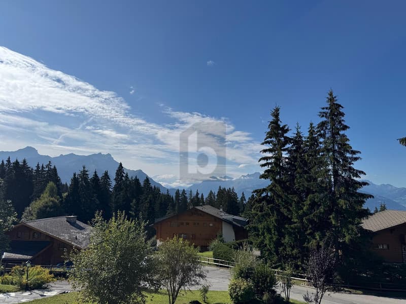 MEUBLÉ, ÉLÉGANCE ALPINE ET DOUCEUR DE VIVRE (2)