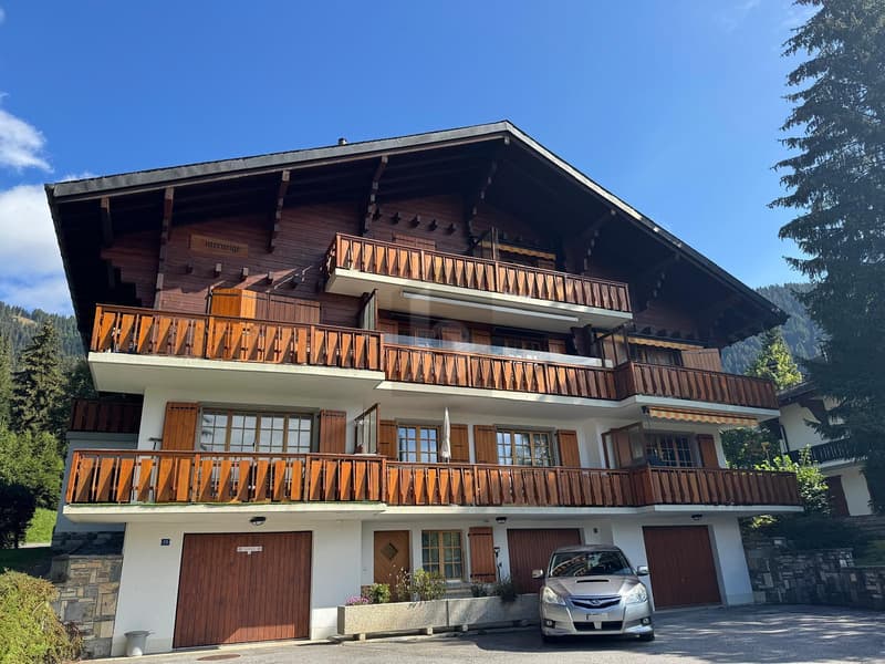 MEUBLÉ, ÉLÉGANCE ALPINE ET DOUCEUR DE VIVRE (1)