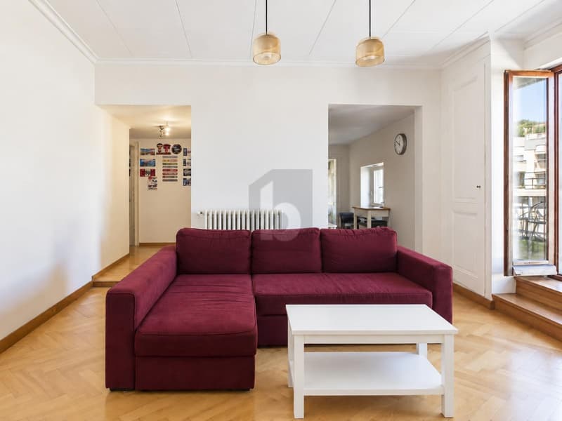 ATTIQUE AVEC BALCON À SERVETTE-CHARMILLES (3)