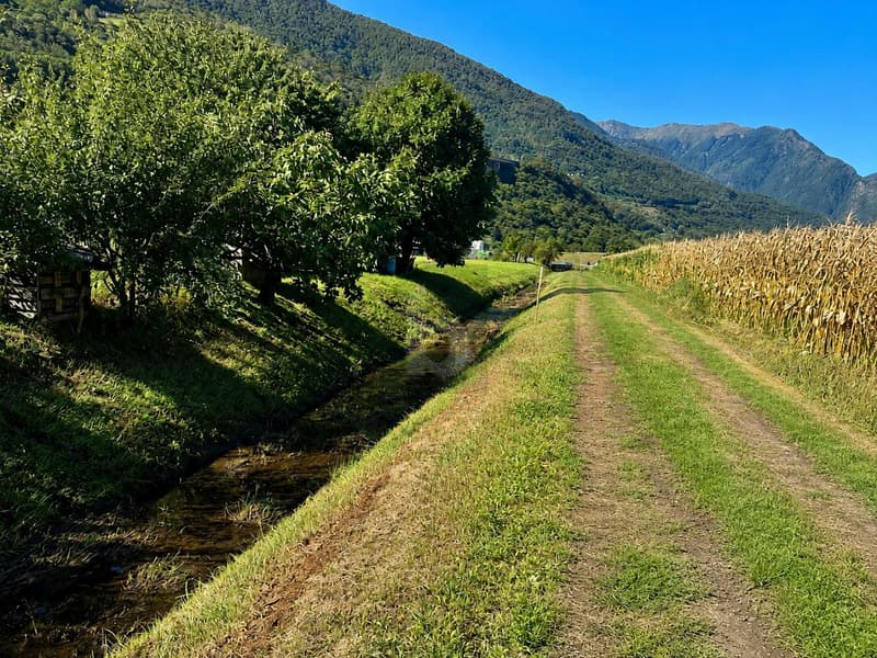 AMPIO IN POSIZIONE SOLEGGIATA E STRATEGICA (4)