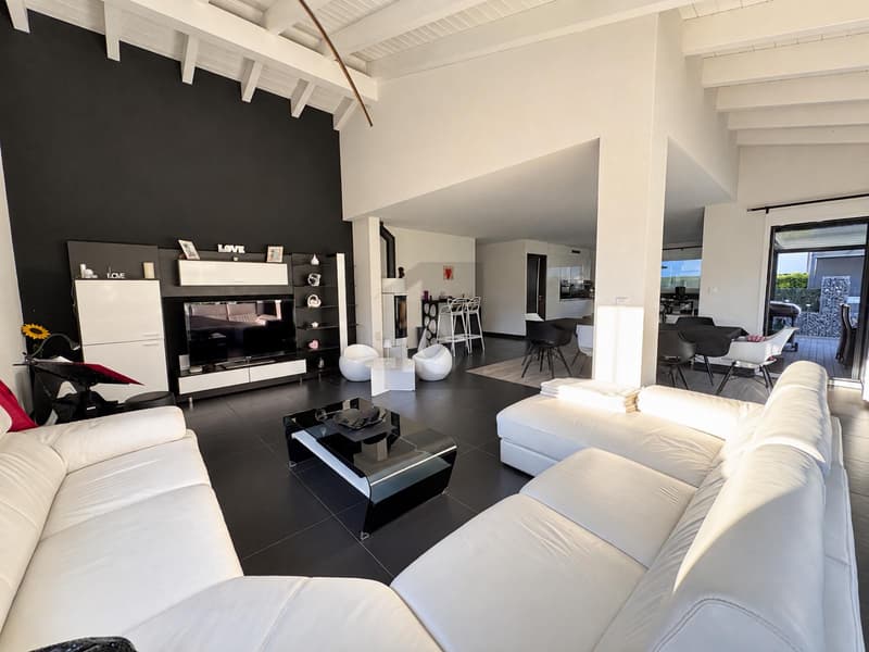 EXCEPTIONNELLE, JACUZZI ET ÉQUIPEMENTS PREMIUM (3)