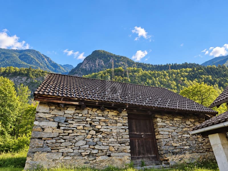 IN POSIZIONE TRANQUILLA, DA RISTRUTTURARE (3)