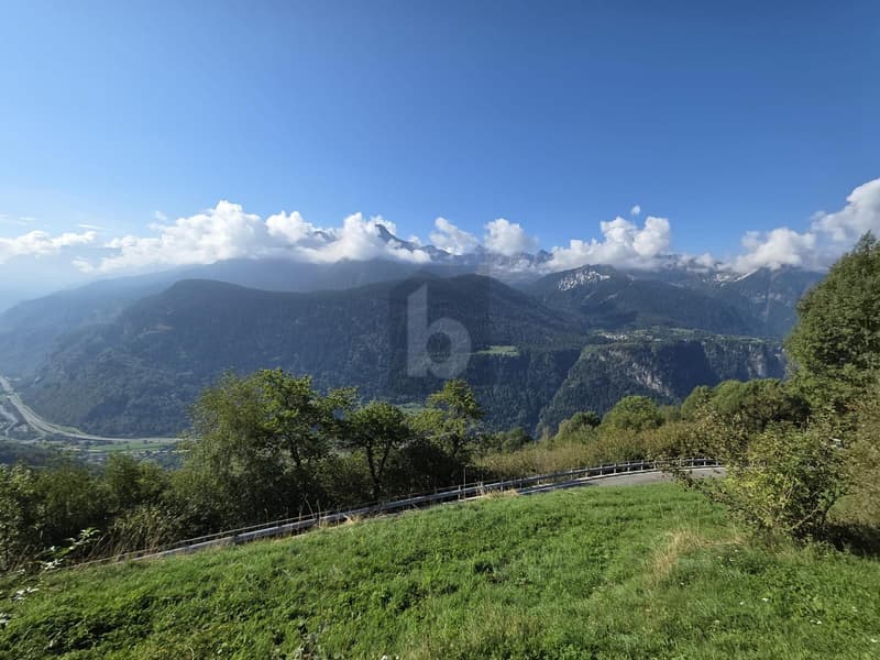IN POSIZIONE SOLEGGIATA (3)