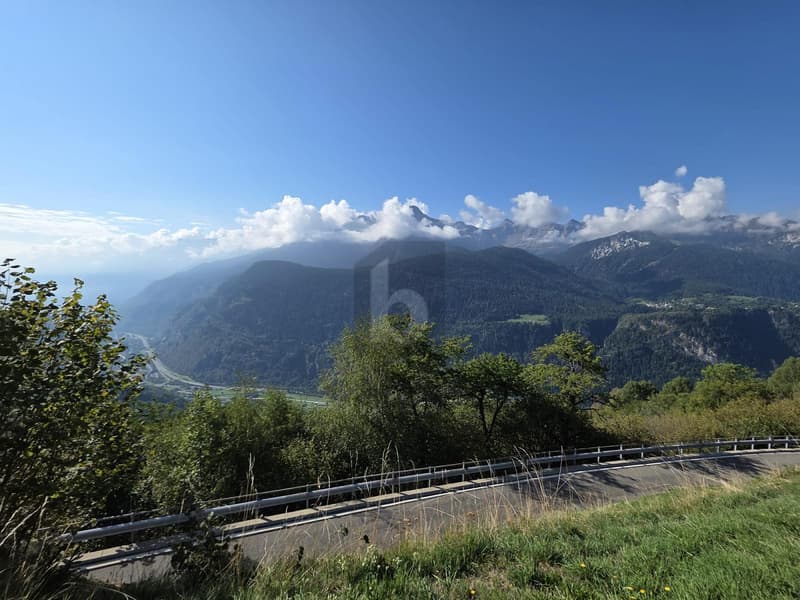 IN POSIZIONE SOLEGGIATA (2)