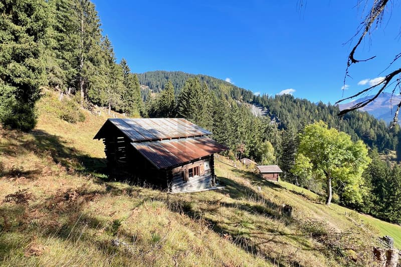 IDYLLISCHES MAIENSÄSS OBERHALB VON CASTIEL (1)