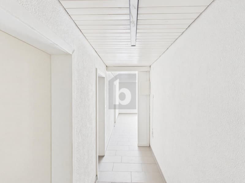 ZENTRAL, MIT GROSSEM BALKON (5)