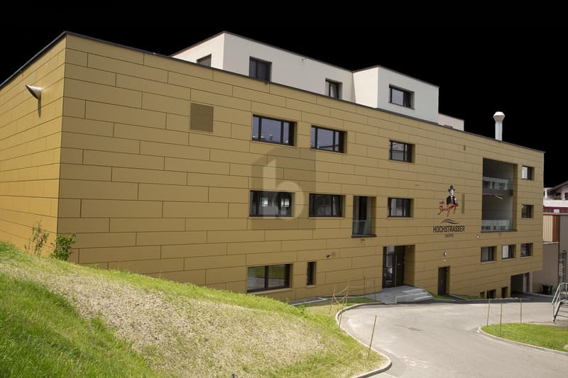 NEUBAU AN ZENTRALER LAGE (1)