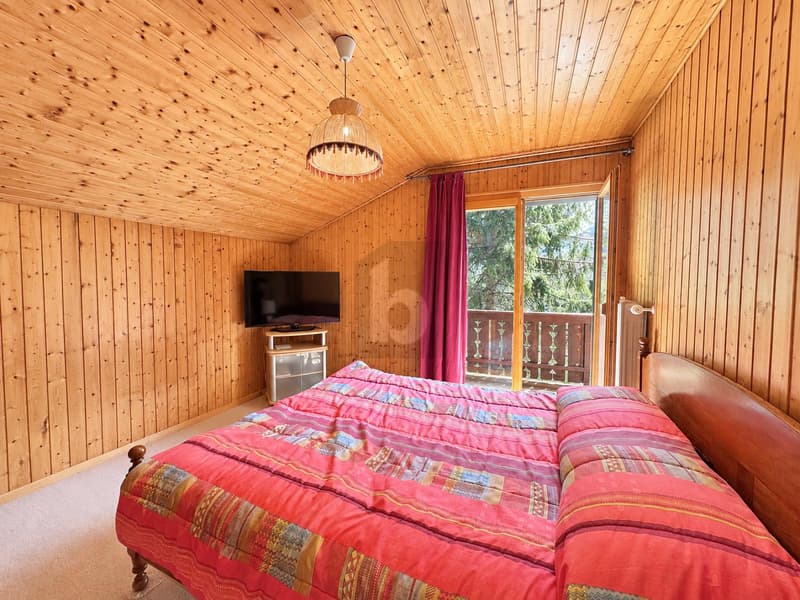 COEUR DES PORTES DU SOLEIL, MAGNIFIQUE AVEC SAUNA (4)