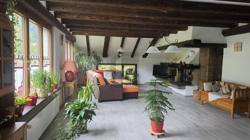 SPACIEUX, DE CHARME ET EN PLEINE NATURE (1)