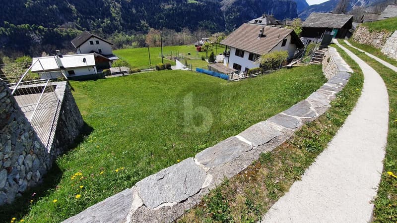IN POSIZIONE SOLEGGIATA CON VISTA APERTA (1)