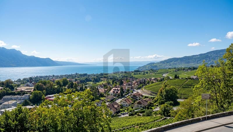 EXCEPTIONNEL AVEC VUE SUR LE LAC LEMAN (1)