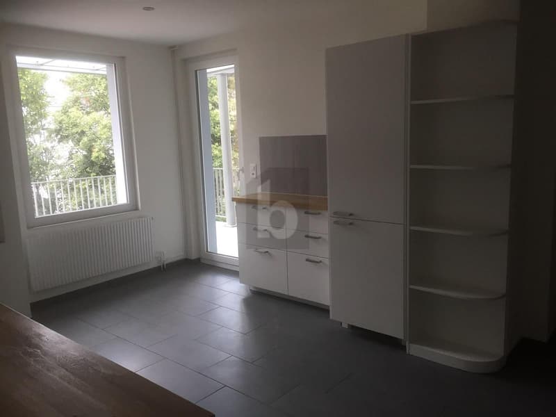 HABITATION AVEC ESPACE DE VIE LUMINEUX (4)